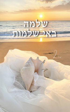 שלמה באי שלמות