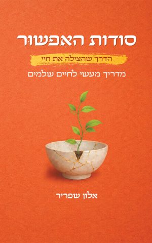 סודות האיפשור